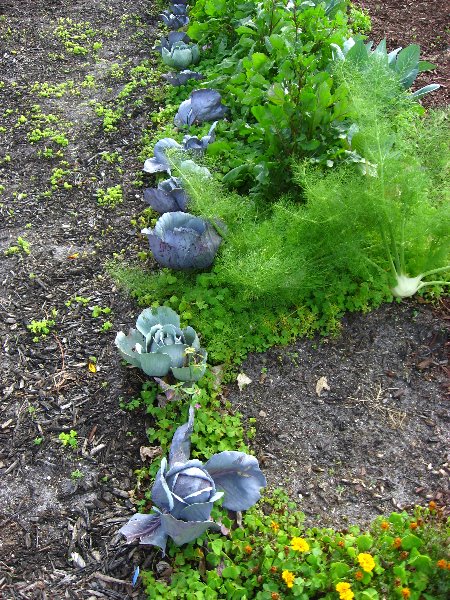 Mounts-Botanical-Garden-068