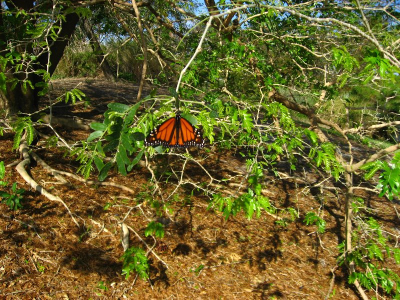 Mounts-Botanical-Garden-100