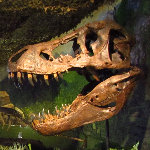 Museum of Discovery & Science - Fort Lauderdale, FL