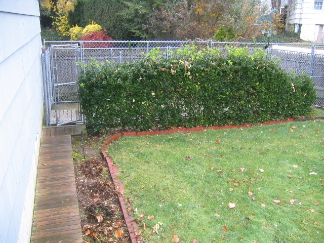 New-York-Thanksgiving-02