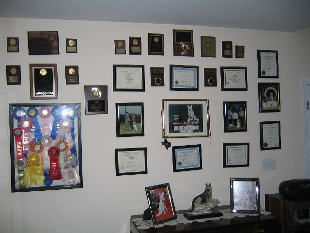 New-York-Thanksgiving-06