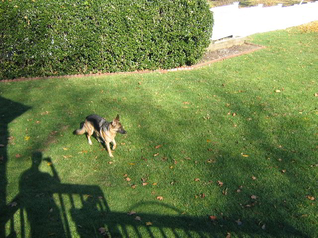 New-York-Thanksgiving-15