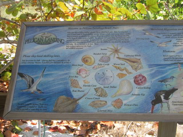 Pelican-Landing-Beach-Park-27