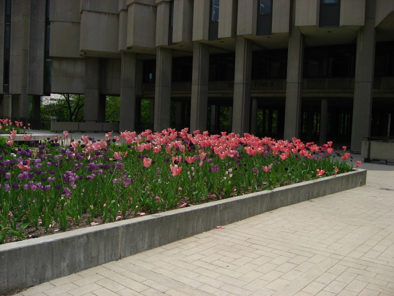 Northwestern-University-Evanston-Campus-Tour-0011