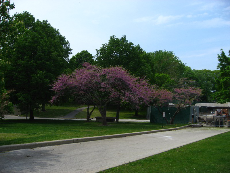 Northwestern-University-Evanston-Campus-Tour-0021