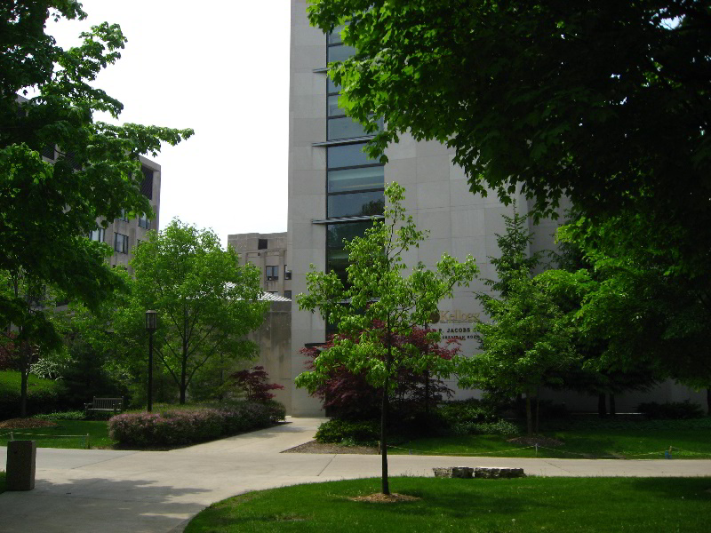 Northwestern-University-Evanston-Campus-Tour-0034