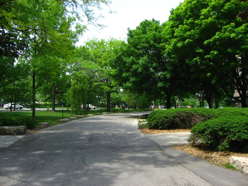 Northwestern-University-Evanston-Campus-Tour-0035