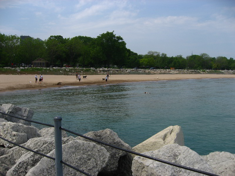 Northwestern-University-Evanston-Campus-Tour-0051