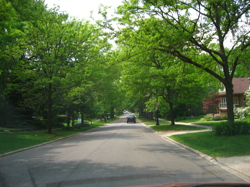 Northwestern-University-Evanston-Campus-Tour-0059