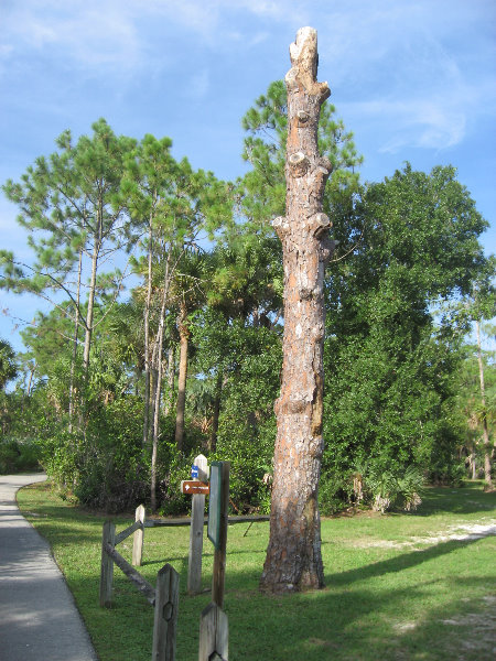 Okeeheelee-Park-West-Palm-Beach-FL-018