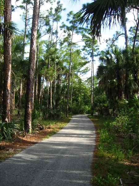 Okeeheelee-Park-West-Palm-Beach-FL-034