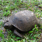 Okeeheelee Park - West Palm Beach, FL