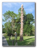 Okeeheelee-Park-West-Palm-Beach-FL-018