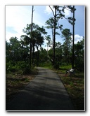 Okeeheelee-Park-West-Palm-Beach-FL-024