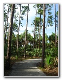 Okeeheelee-Park-West-Palm-Beach-FL-027