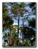 Okeeheelee-Park-West-Palm-Beach-FL-033