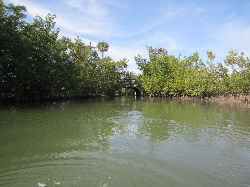 Oleta-River-State-Park-Blue-Moon-Kayaking-North-Miami-Beach-FL-005