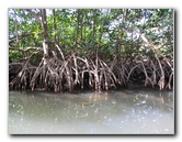 Oleta-River-State-Park-Blue-Moon-Kayaking-North-Miami-Beach-FL-002