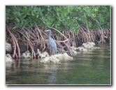 Oleta-River-State-Park-Blue-Moon-Kayaking-North-Miami-Beach-FL-035