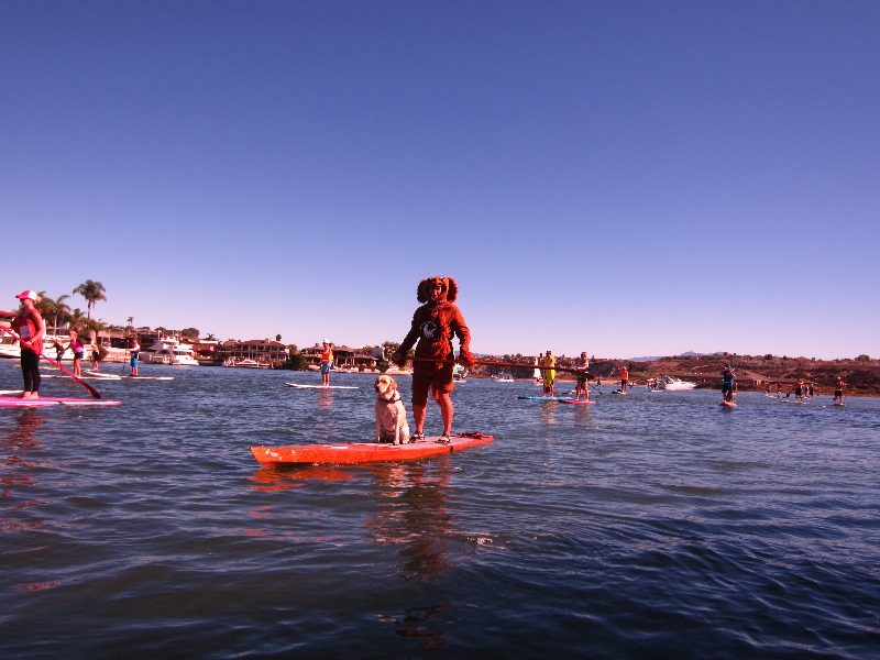 Paddle-for-Privates-SUP-Costume-Parade-Newport-Beach-CA-039