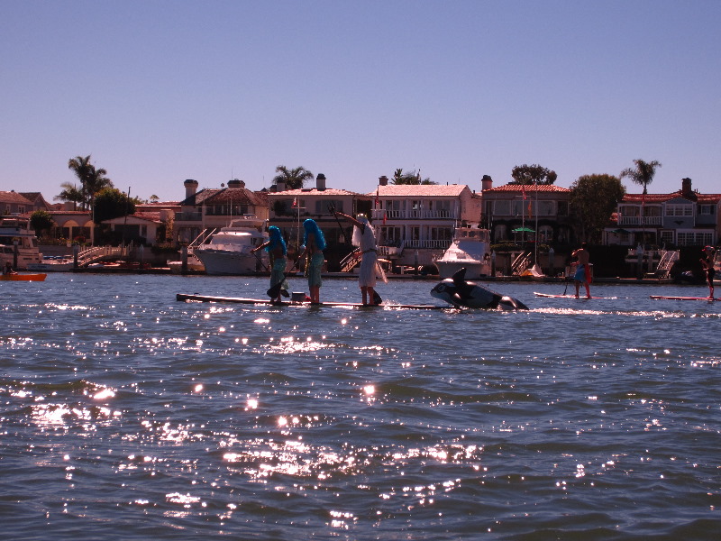 Paddle-for-Privates-SUP-Costume-Parade-Newport-Beach-CA-061