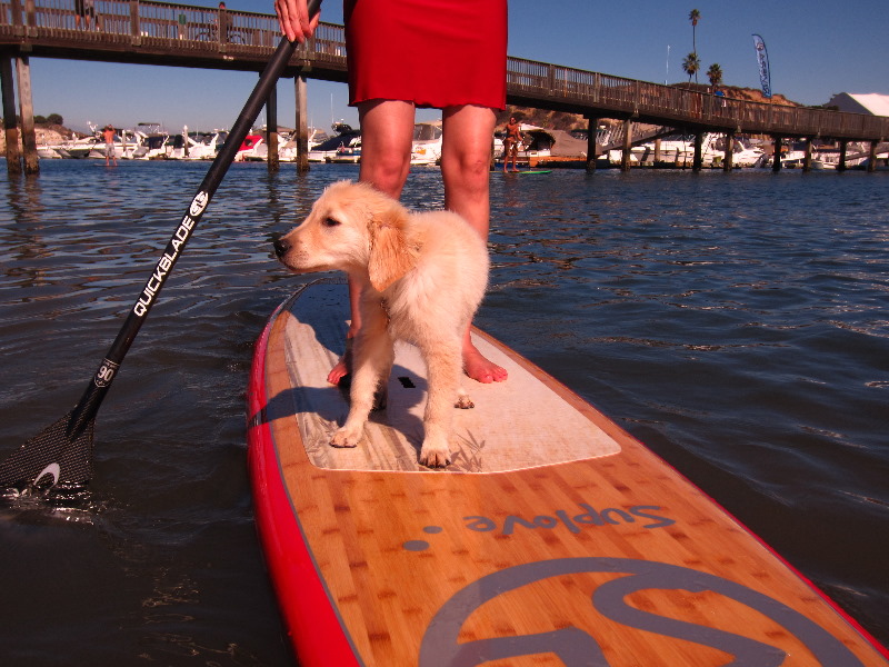 Paddle-for-Privates-SUP-Costume-Parade-Newport-Beach-CA-066