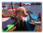 Paddle-for-Privates-SUP-Costume-Parade-Newport-Beach-CA-010