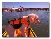 Paddle-for-Privates-SUP-Costume-Parade-Newport-Beach-CA-030