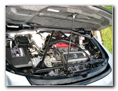 Palm-Beach-Supercar-Weekend-127