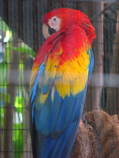 Palm-Beach-Zoo-At-Dreher-Park-021