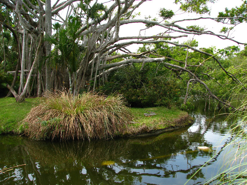 Palm-Beach-Zoo-At-Dreher-Park-124