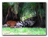 Palm-Beach-Zoo-At-Dreher-Park-049