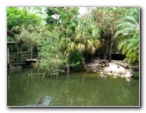 Palm-Beach-Zoo-At-Dreher-Park-103