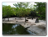 Palm-Beach-Zoo-At-Dreher-Park-120