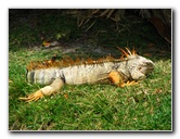 Palm-Beach-Zoo-At-Dreher-Park-125