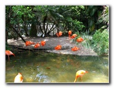 Palm-Beach-Zoo-At-Dreher-Park-131