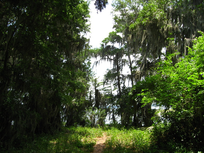 Palm-Point-Nature-Park-Newnans-Lake-Gainesville-FL-007