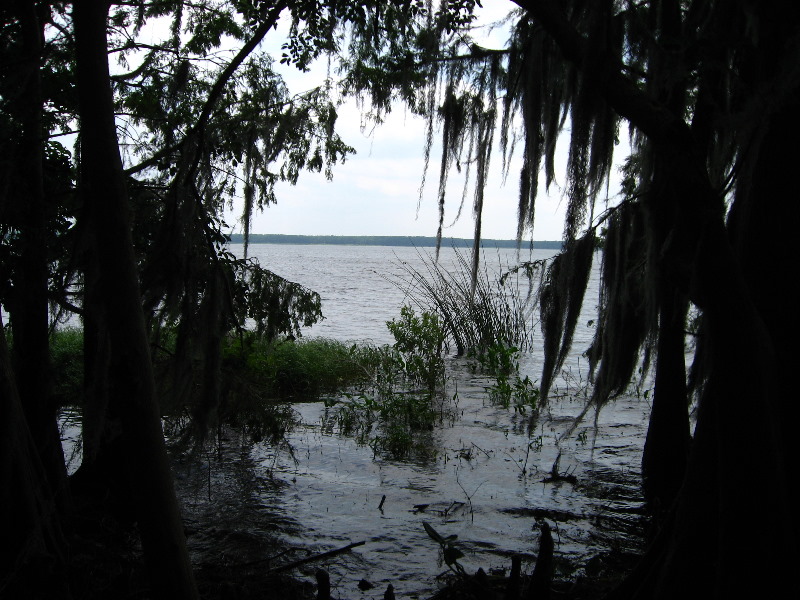 Palm-Point-Nature-Park-Newnans-Lake-Gainesville-FL-011