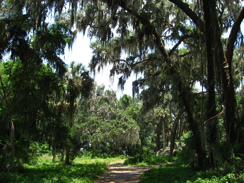 Palm-Point-Nature-Park-Newnans-Lake-Gainesville-FL-015