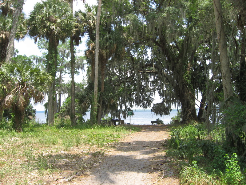 Palm-Point-Nature-Park-Newnans-Lake-Gainesville-FL-022