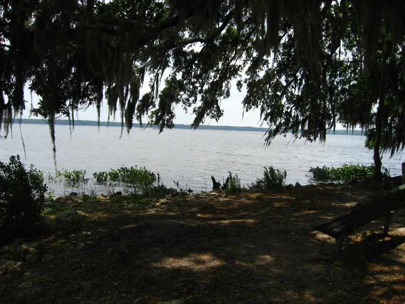 Palm-Point-Nature-Park-Newnans-Lake-Gainesville-FL-029