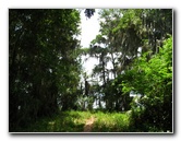 Palm-Point-Nature-Park-Newnans-Lake-Gainesville-FL-007