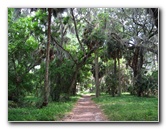 Palm-Point-Nature-Park-Newnans-Lake-Gainesville-FL-008