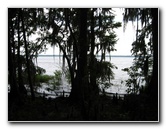 Palm-Point-Nature-Park-Newnans-Lake-Gainesville-FL-010