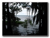 Palm-Point-Nature-Park-Newnans-Lake-Gainesville-FL-011