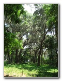 Palm-Point-Nature-Park-Newnans-Lake-Gainesville-FL-014