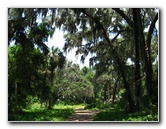 Palm-Point-Nature-Park-Newnans-Lake-Gainesville-FL-015