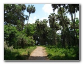 Palm-Point-Nature-Park-Newnans-Lake-Gainesville-FL-021