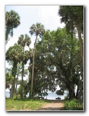 Palm-Point-Nature-Park-Newnans-Lake-Gainesville-FL-023