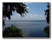 Palm-Point-Nature-Park-Newnans-Lake-Gainesville-FL-027